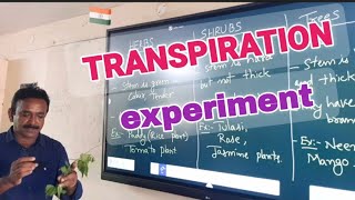 TRANSPIRATION EXPERIMENT  PLANT  STOMATA [upl. by Carmina813]