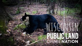 2022 Public Land Opening Day Black Bear in Wisconsin [upl. by Ecnerol]