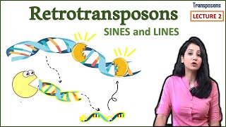 Retrotransposons II LINES SINES II Transposons Part 2 [upl. by Chrysler]