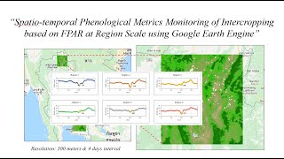 Spatiotemporal Phenological Metrics Monitoring of Intercropping at Regional Scale using GEE [upl. by Levona]