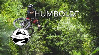 SICKEST TRAIL IN NORTHERN CALIFORNIA  Mountain Biking Humboldt County [upl. by Forsta]