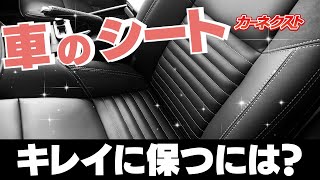 【車のシート洗浄】意外と気づかない？車のシート汚れはすぐ洗浄しよう！洗浄方法を解説しますbyカーネクスト [upl. by Edelstein]