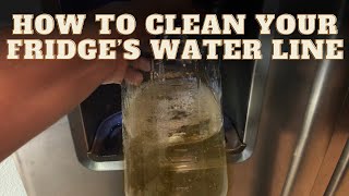 How To Clean Your Refrigerator’s Water Dispenser Line  Quick amp Easy No Complicated Tools Needed [upl. by Rimaa]