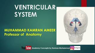 ventricular system  Brain Ventricle ppt M Kamran Ameer [upl. by Aneelehs776]