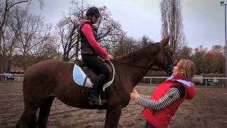 Dédramatiser le saut avec son cheval  Equidia Life [upl. by Onaivlis313]