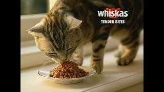 Whiskas Tender Bites Commercial The WB KBWBTV 20 Mar 14 2003 [upl. by Lednik428]