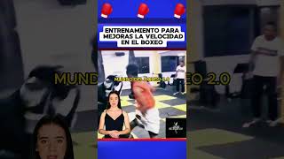 Entrenamiento para mejorar la velocidad en el boxeo boxeo boxing box [upl. by Ecarg]