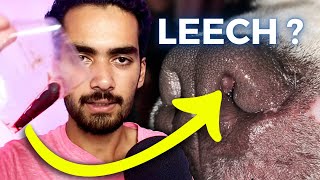 Leech Inside my Dogs Nose  OUT in 1 STEP [upl. by Durant]