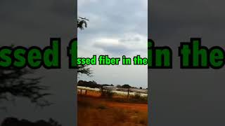 Rea Vipingo The largest SisalFiber plant in Africa [upl. by Adria]