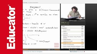 Enzymes  Biochemistry Tutorial [upl. by Eugirne]