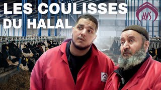 LE HALAL EN FRANCE C’EST FINI [upl. by Ahsenid948]