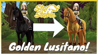 How to Get the Golden Lusitano  Star Stable Online [upl. by Neysa]