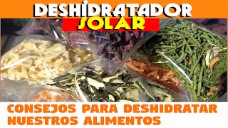 Aprende a Deshidratar Alimentos en casa usando el sol como energía [upl. by Yrehc686]