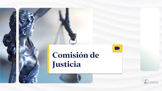 Comisión de Justicia  23012024 traducción [upl. by Oira]