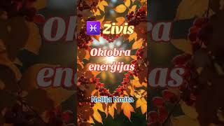 💎New ZIVIS OKTOBRA ENERĢIJAS 🙌 Nelllija Kmita [upl. by Sikes751]