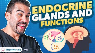 Endocrine Glands amp Functions  Parathyroidism Nursing  Made Easy NCLEX [upl. by Ignacius]