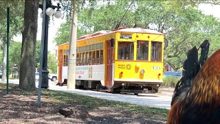 Tampa TECO Streetcar Line full route POV [upl. by Tteirrah449]