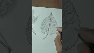 easy way leaf drawing step by step  leaf drawing tutorial for beginners drawing sketch howtodraw [upl. by Assilanna]