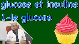 glucose  origine source dénergie utilisation stockage La glycémie et le diabète 3422 [upl. by Durman]