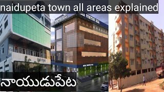 Naidupeta town all areas explained in  Nellore  travel abc [upl. by Gadmon]