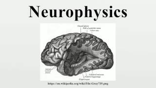 Neurophysics [upl. by Pulling153]