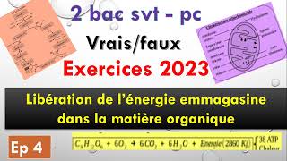 2 bac pc svt exercice 2023 ep 4 libération de lénergie emmagasinée dans la matière organique [upl. by Akirej]