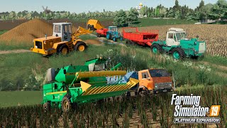 FS19 Полевой вестник 11 Уборка подсолнуха НИВА СК5 внесение навоза на поля МТЗ80 Т150К ПРТ10 [upl. by Yenffad743]