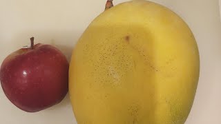 slicing apple sweet mango and mikansatisfying fruit viral [upl. by Lila]