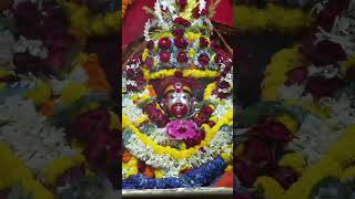 Jai ma Tara explore taramaa kalimaa krishna views viralshorts [upl. by Ealasaid]