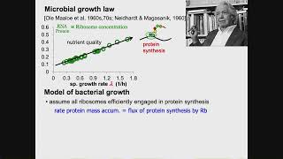 Growthdependent proteome allocation in E coli from phenomena to control strategy and dynamics [upl. by Gnuy]