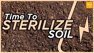 How to sterilize soil  Sterilization of soil  Organic Gardening  Natural gardening [upl. by Ylnevaeh232]