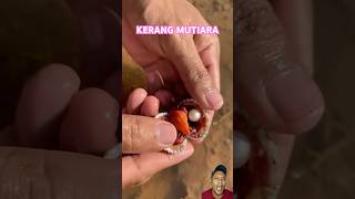 KERANG MUTIARA fishing animals [upl. by Suoivatnod]