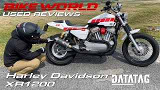 2012 HarleyDavidson XR1200X Review by Total Motorcycle [upl. by Lusty]