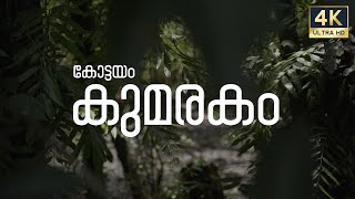 Trip to Kumarakom Bird Sanctuary  Kottayam  Cinematic 4K Video sony a7iii with tamron 2875 [upl. by Attevroc244]