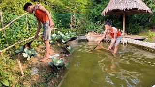 Today Hung fertilized vegetables and caught fish Clean vegetables and fresh fish every day [upl. by Eimaraj705]