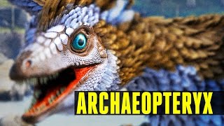 ARCHAEOPTERYX  How to tameEverything you need to know  Ark Survival Evolved Update 247 [upl. by Ij577]