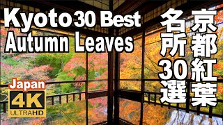 🇯🇵4K 京都の紅葉名所30選 30 Best Autumn Leaves Spots in Kyoto Japan 清水寺 嵐山 永観堂 東福寺 瑠璃光院 建仁寺 観光 旅行 秋 ライトアップ [upl. by Eybbob]