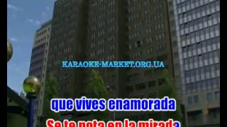 Karaoke quotSe Te Nota En La Miradaquot  Rafa Serna [upl. by Yadrahs]