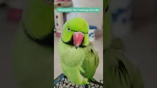 DIVINE  Baazigar ft Parrot 😎baazigar [upl. by Margaretta637]