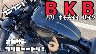 【モトブログ】36 久しぶりのバイクと大雪クレイジー女。（XL1200X） [upl. by Anyzratak]