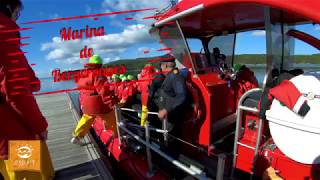 Croisière aux baleine aux Grandes Bergeronnes Tadoussac [upl. by Dnesnwot504]