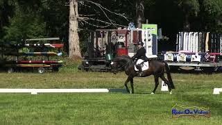 278D Cindy Hahn on Tristan Open Beginner Novice Dressage Aspen Farms Sept 2024 [upl. by Amhser]