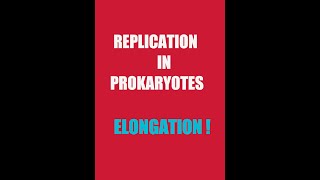 Replication In ProkaryotesElongation [upl. by Ingvar]