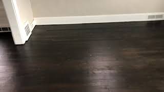 Hardwood Flooring Refinishing Ebony Stain [upl. by Elihu]