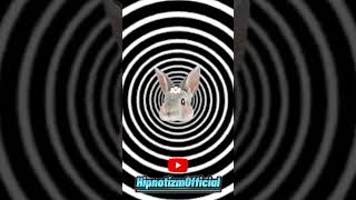 TATLI TAVŞANIN HİPNOZ YETENEĞİ 😂 🐰 hipnose illusion hipnotizm hipnoz ilizyon trendingshorts [upl. by Anicul]