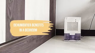 Dehumidifier in my bedroom Benefits How it works Cost [upl. by Aidole99]