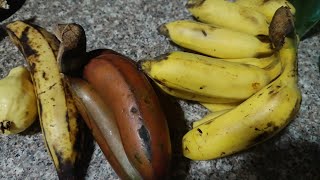 Peeling Cutting Banana ASMR  slicing amp serve banana 🍌🍌 satisfying  banana fruits [upl. by Lorie111]