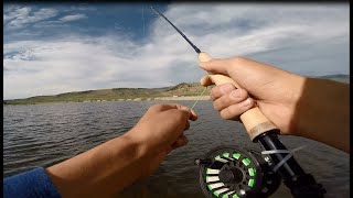 Trout Fishing at a 10000 Foot Elevation in Leadville CO [upl. by Norina]