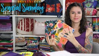 Sewcial Sunday  How to Add a Divider to a Bag [upl. by Ynattib794]