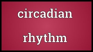 Circadian rhythm Meaning [upl. by Sihtam162]